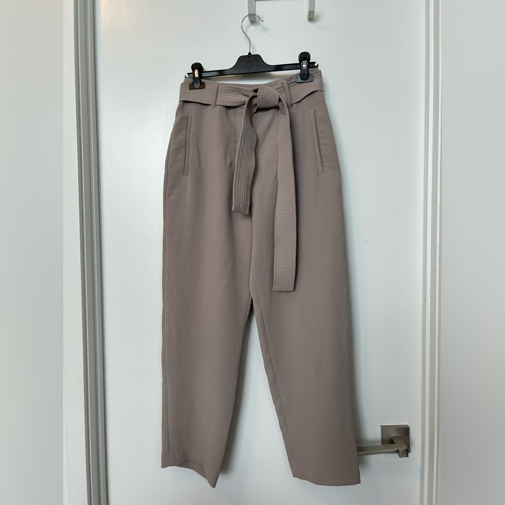 Aritzia Trouser